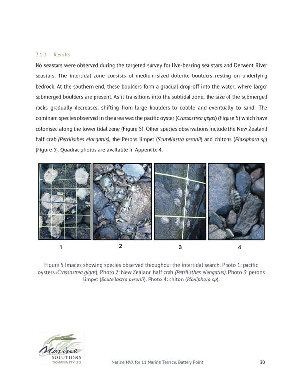 A screenshot of a text

AI-generated content may be incorrect.