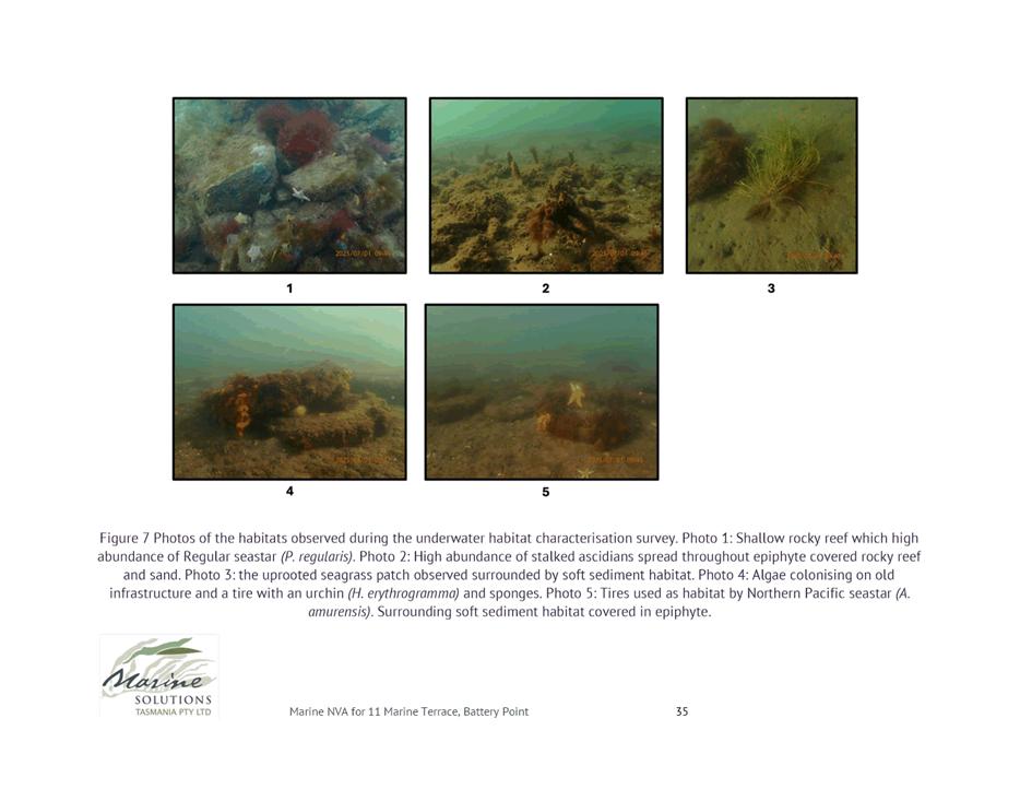 A collage of underwater images

AI-generated content may be incorrect.